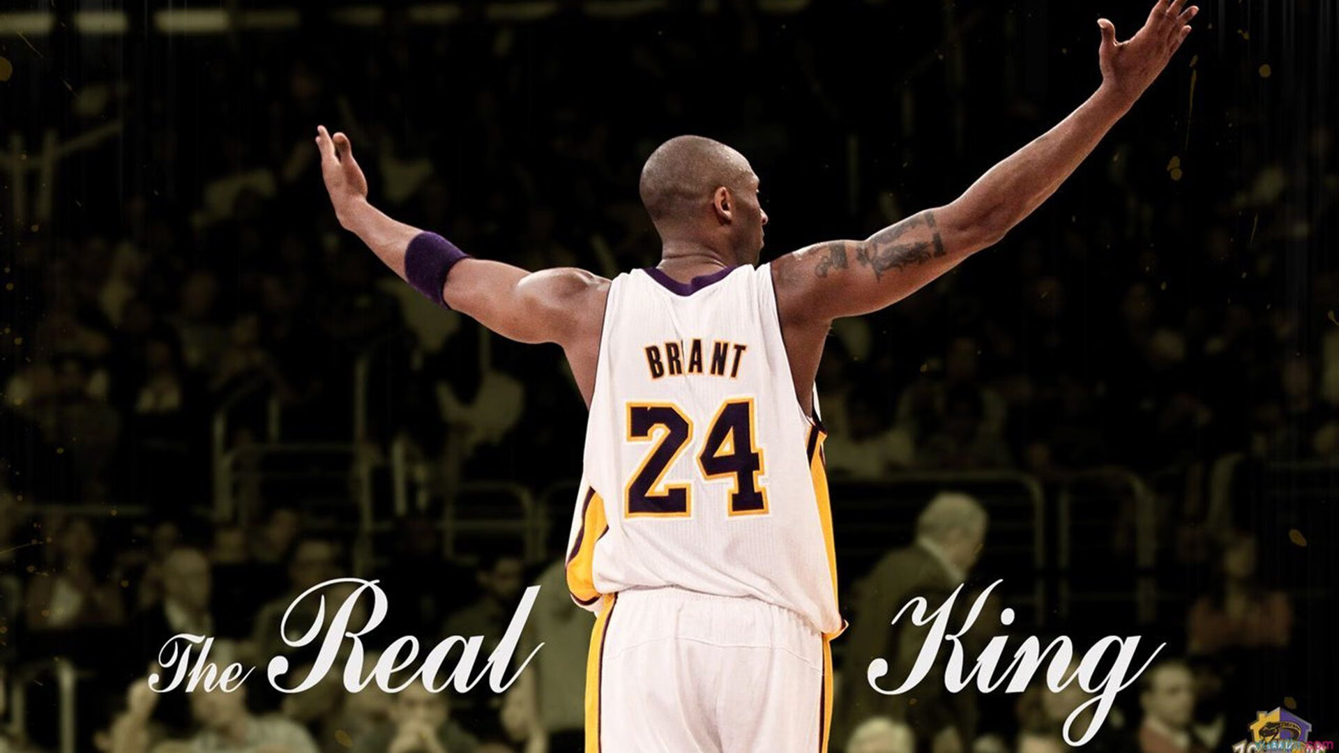 _森林狼士气高涨，冲击季后赛目标_，森林狼重返季后赛